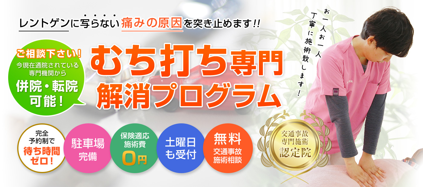 あきる野市の交通事故・むち打ち施術 | あきる野市交通事故むちうち整骨院(あきる野市スリジエ整骨院)